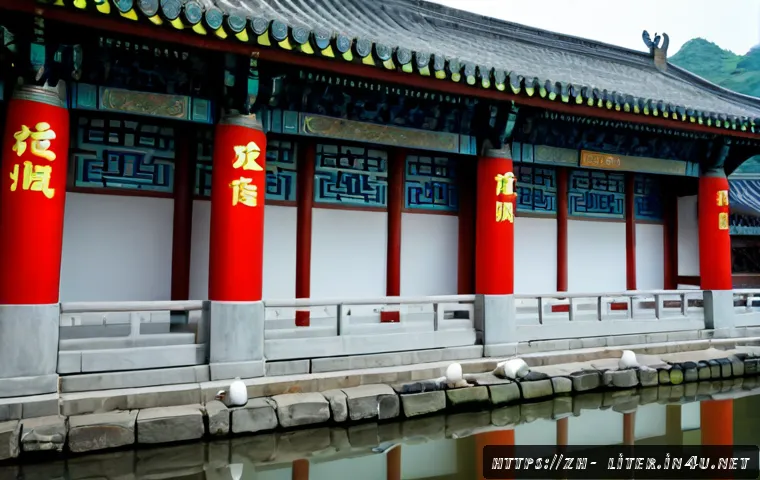 想把文解教育经验带到海外:资格认可、培训投入与就业路径怎么评估 4 문해교육사 자격증과 해외 진출 관련 이미지 2